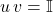 u \, v = \mathbb{I}