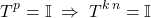 \begin{equation*} \label{tkp} T^p=\mathbb{I} \;\Rightarrow\;  T^{k\,n}=\mathbb{I} \end{equation}